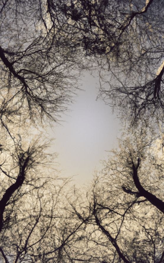 Katamine Therapy Boston Psychedelic Therapy